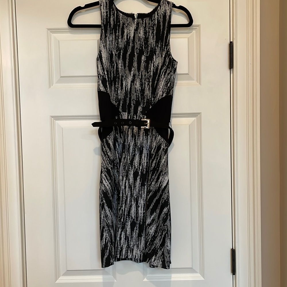 NWT Cache Dress Knee length skater style